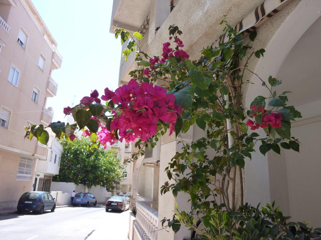 The Cozy Apartment Torrevieja Buitenkant foto
